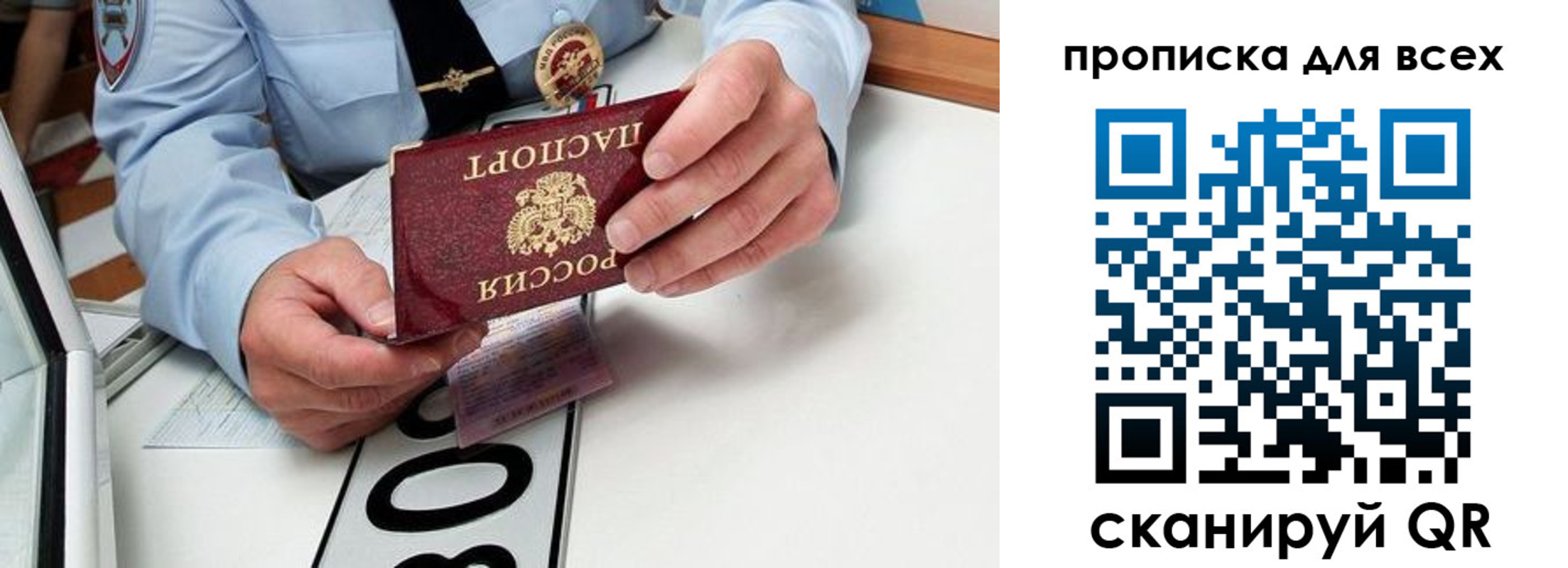 прописка для школы в Елизово